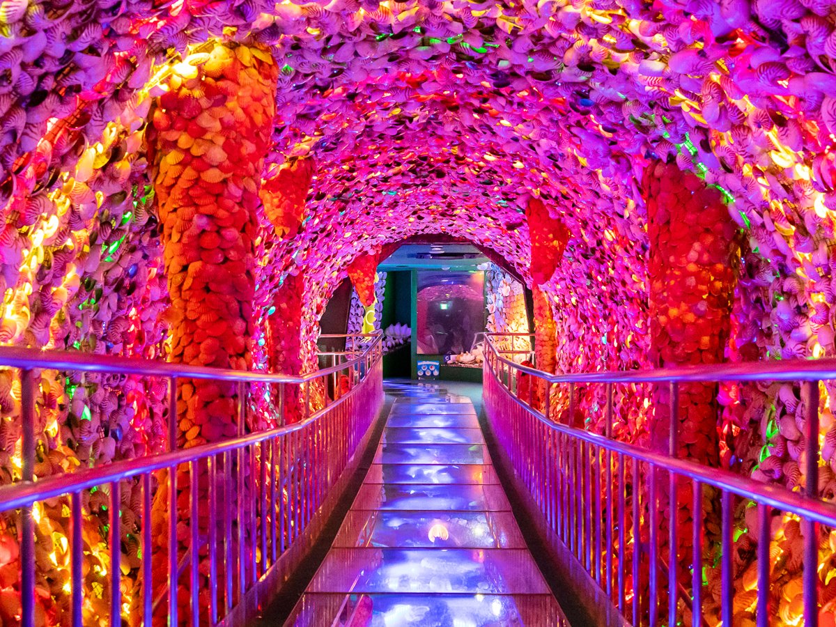 🐠 다케시마 판타지관(타케시마 환타지-칸) 이미지 4